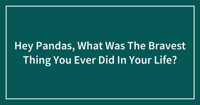 Hey Pandas, What Was The Bravest Thing You Ever Did In Your Life? (Closed)