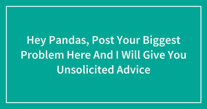 Hey Pandas, Post Your Biggest Problem Here And I Will Give You Unsolicited Advice (Closed)