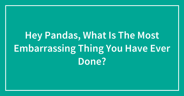 Hey Pandas, What Is The Most Embarrassing Thing You Have Ever Done?