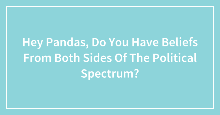 Hey Pandas, Do You Have Beliefs From Both Sides Of The Political Spectrum?