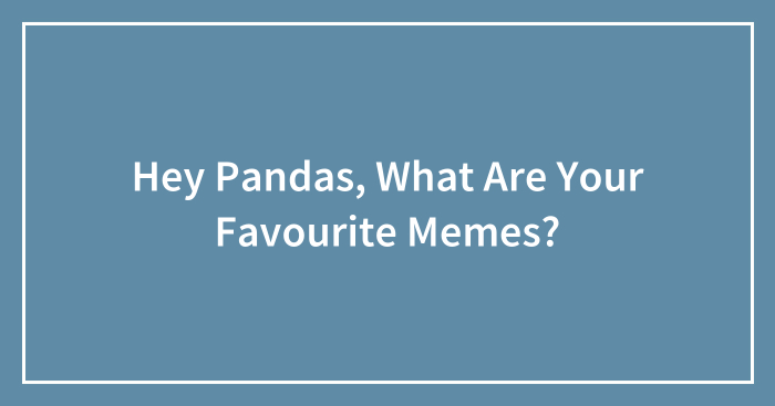 Hey Pandas, What Are Your Favourite Memes?