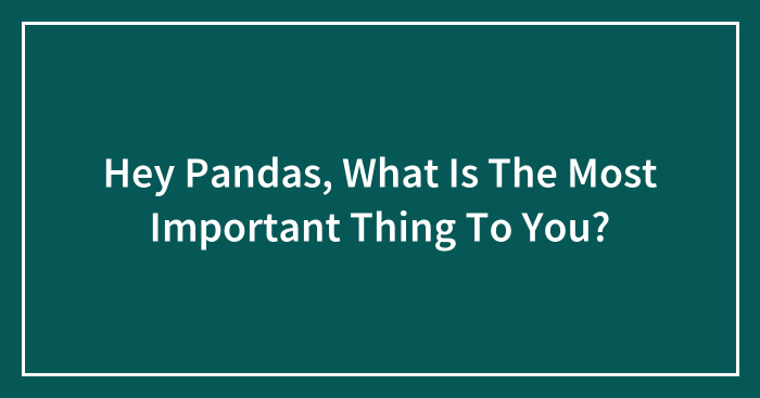 Hey Pandas, What Is The Most Important Thing To You? (Closed)