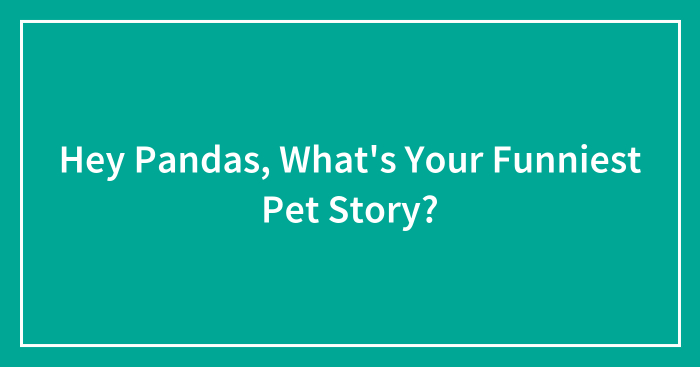 Hey Pandas, What’s Your Funniest Pet Story?