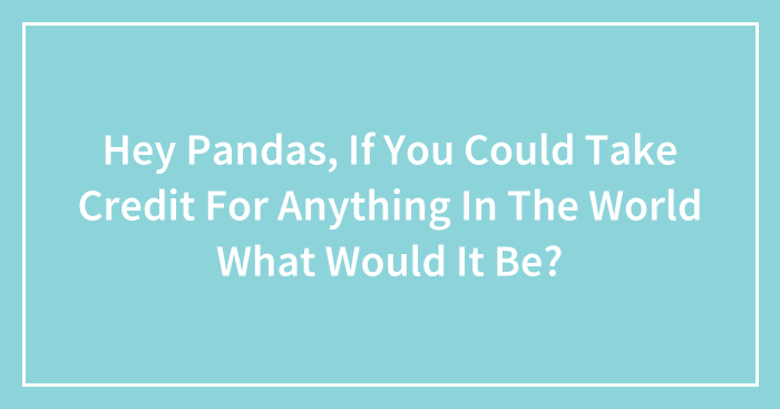 Hey Pandas, If You Could Take Credit For Anything In The World What Would It Be? (Closed)