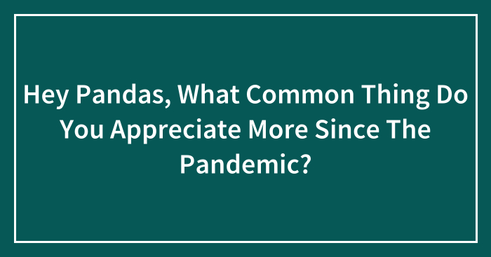 Hey Pandas, What Common Thing Do You Appreciate More Since The Pandemic? (Closed)