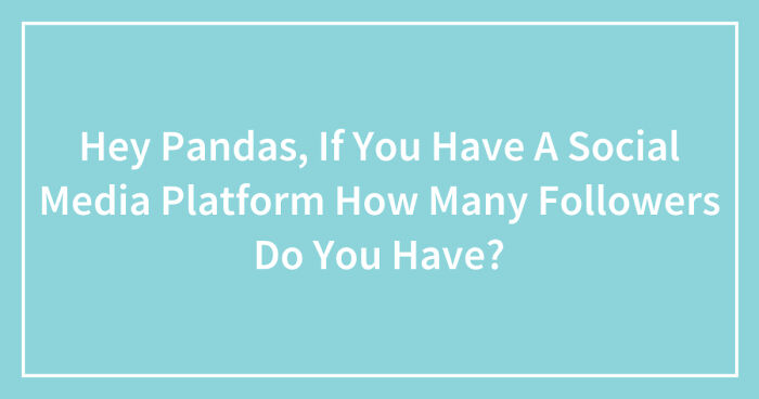 Hey Pandas, If You Have A Social Media Platform How Many Followers Do You Have? (Closed)