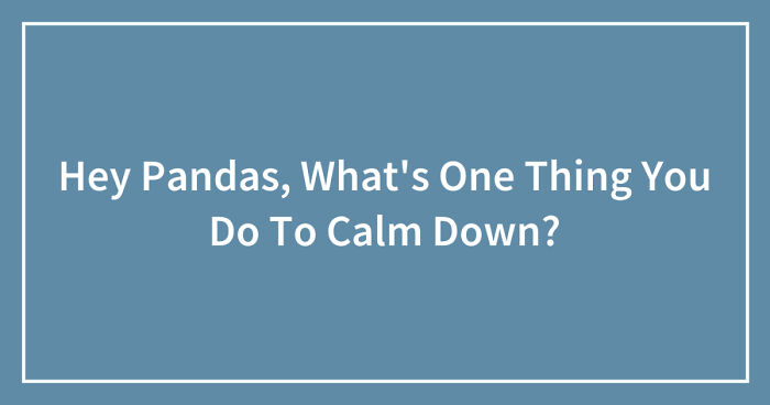 Hey Pandas, What’s One Thing You Do To Calm Down? (Closed)