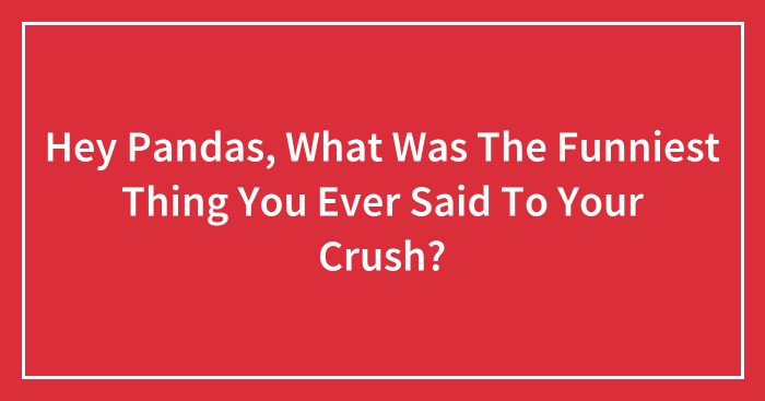 Hey Pandas, What Was The Funniest Thing You Ever Said To Your Crush? (Closed)