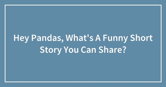 Hey Pandas, What’s A Funny Short Story You Can Share?