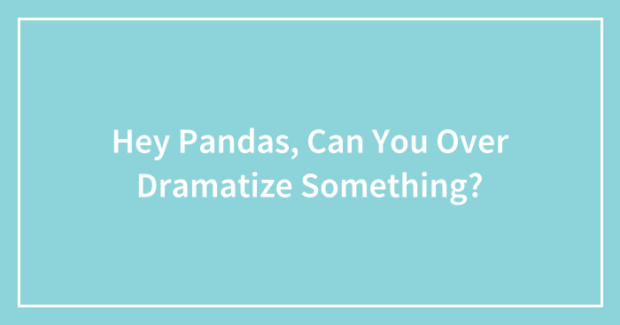 Hey Pandas, Can You Over Dramatize Something?