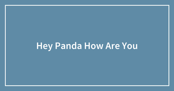Hey Panda How Are You