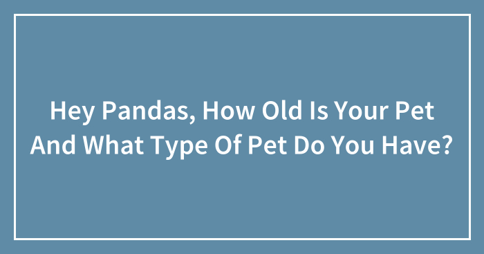 Hey Pandas, How Old Is Your Pet And What Type Of Pet Do You Have? (Closed)