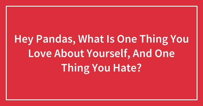 Hey Pandas, What Is One Thing You Love About Yourself, And One Thing You Hate? (Closed)