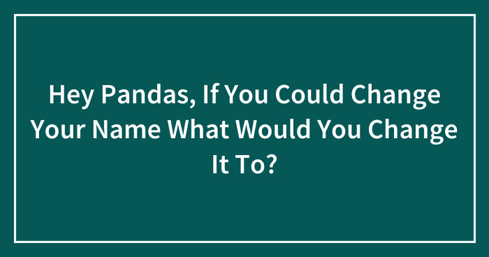 Hey Pandas, If You Could Change Your Name What Would You Change It To? (Closed)
