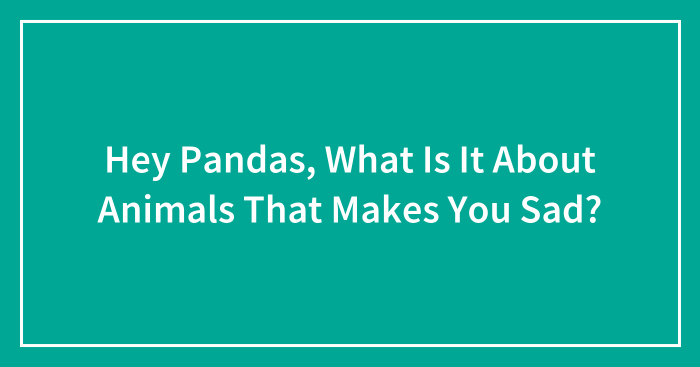 Hey Pandas, What Is It About Animals That Makes You Sad? (Closed)
