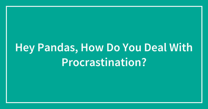 Hey Pandas, How Do You Deal With Procrastination? (Closed)