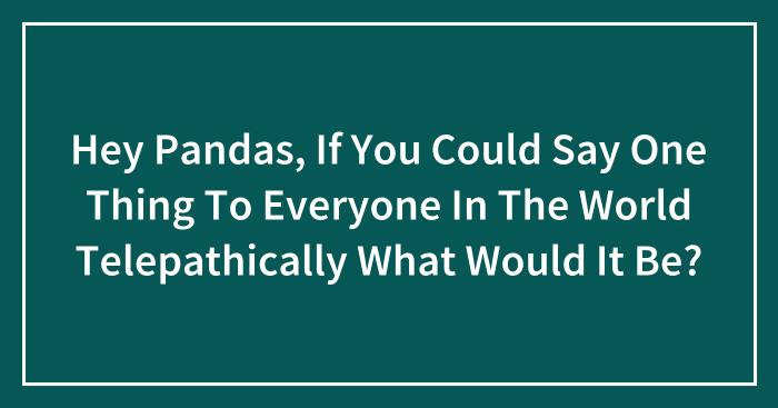 Hey Pandas, If You Could Say One Thing To Everyone In The World Telepathically What Would It Be? (Closed)