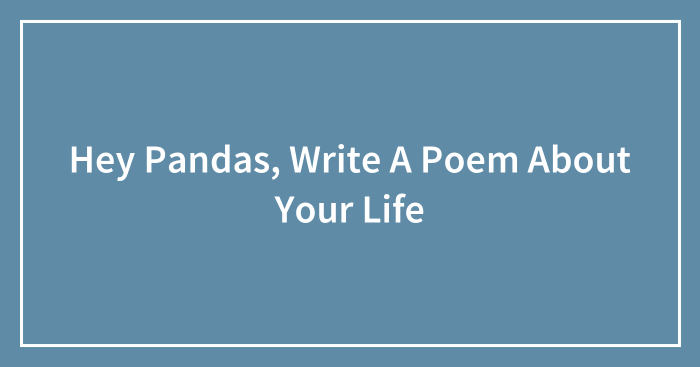 Hey Pandas, Write A Poem About Your Life