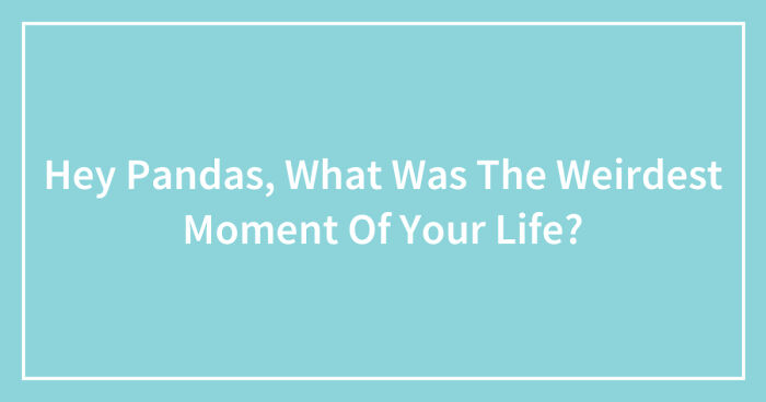 Hey Pandas, What Was The Weirdest Moment Of Your Life? (Closed)