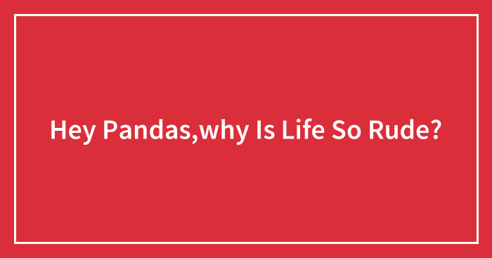 Hey Pandas,why Is Life So Rude?