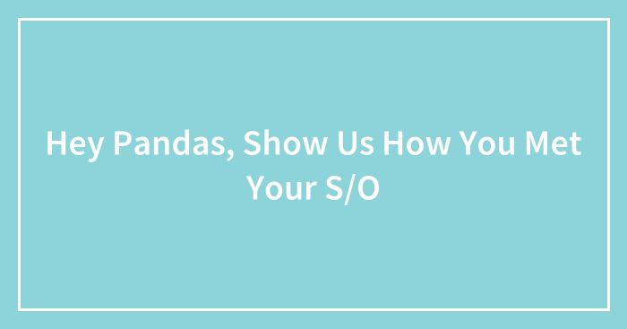 Hey Pandas, Show Us How You Met Your S/O