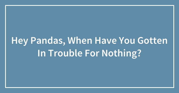 Hey Pandas, When Have You Gotten In Trouble For Nothing? (Closed)
