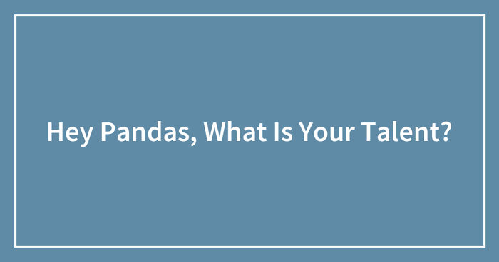 Hey Pandas, What Is Your Talent? (Closed)