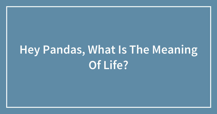 Hey Pandas, What Is The Meaning Of Life? (Closed)