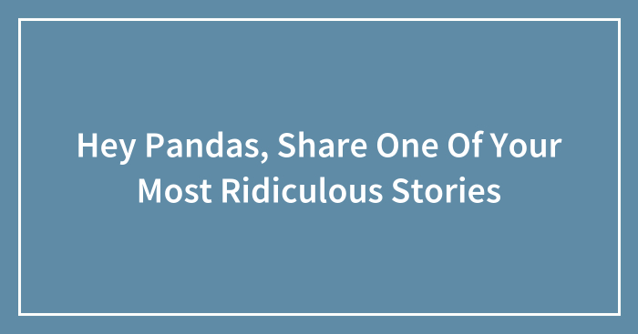 Hey Pandas, Share One Of Your Most Ridiculous Stories