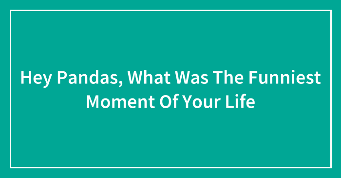 Hey Pandas, What Was The Funniest Moment Of Your Life