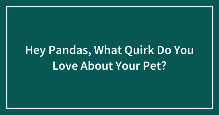 Hey Pandas, What Quirk Do You Love About Your Pet? (Closed)