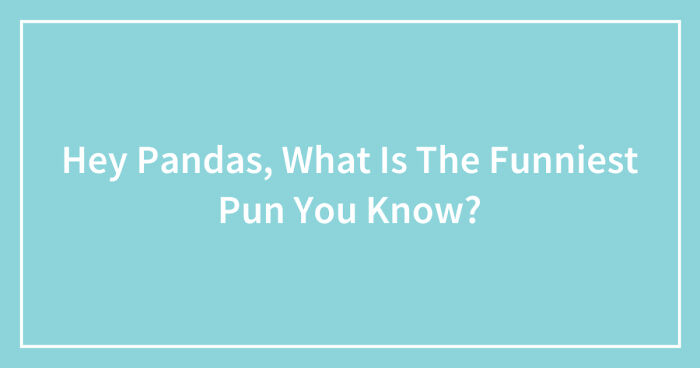 Hey Pandas, What Is The Funniest Pun You Know? (Closed)