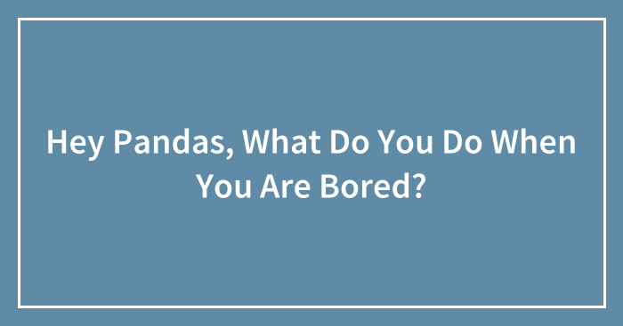 Hey Pandas, What Do You Do When You Are Bored? (Closed)