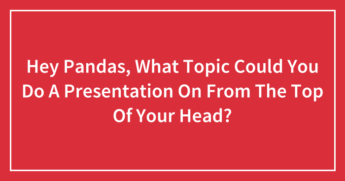 Hey Pandas, What Topic Could You Do A Presentation On From The Top Of Your Head? (Closed)