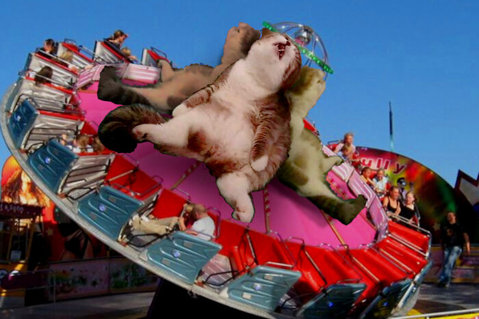 Life Isn't Fair, It Never Was, It Never Will!!🙀