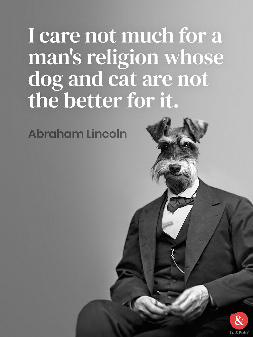 Designer Finds Famous Peoples Doppelgänger Dogs