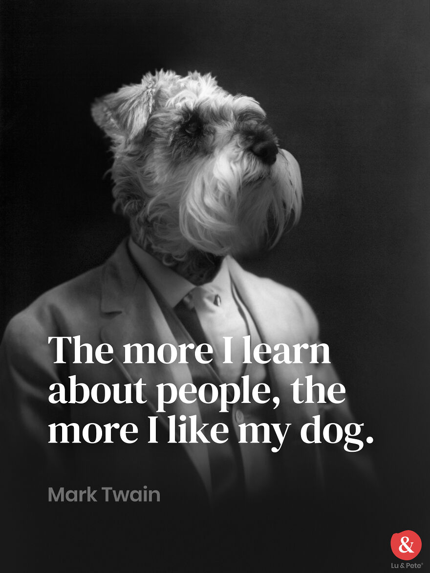 Designer Finds Famous Peoples Doppelgänger Dogs