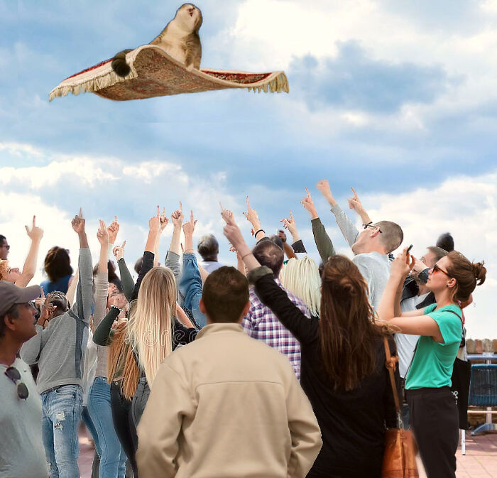 Been Flying All Night