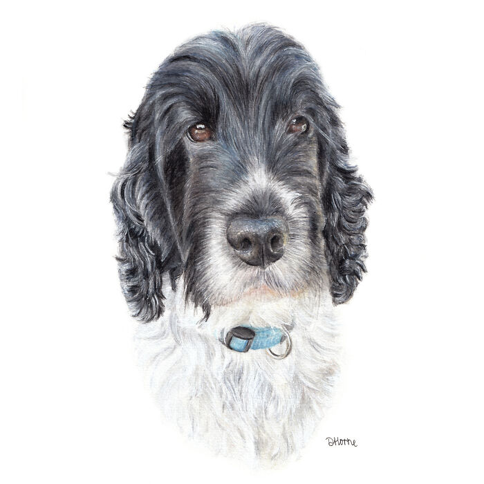 I Paint Watercolour Pet Portraits