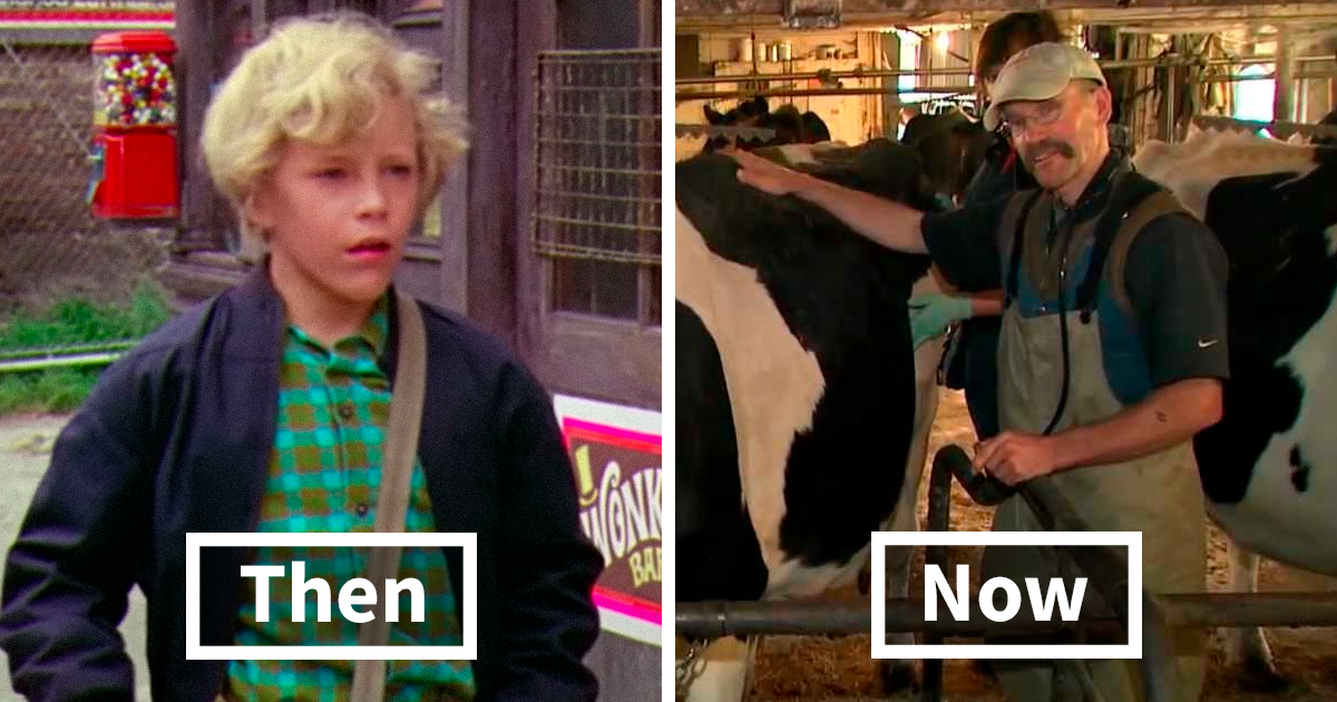 Young boy actor from a famous film contrasted with his current life working as a farmer among cows and livestock.