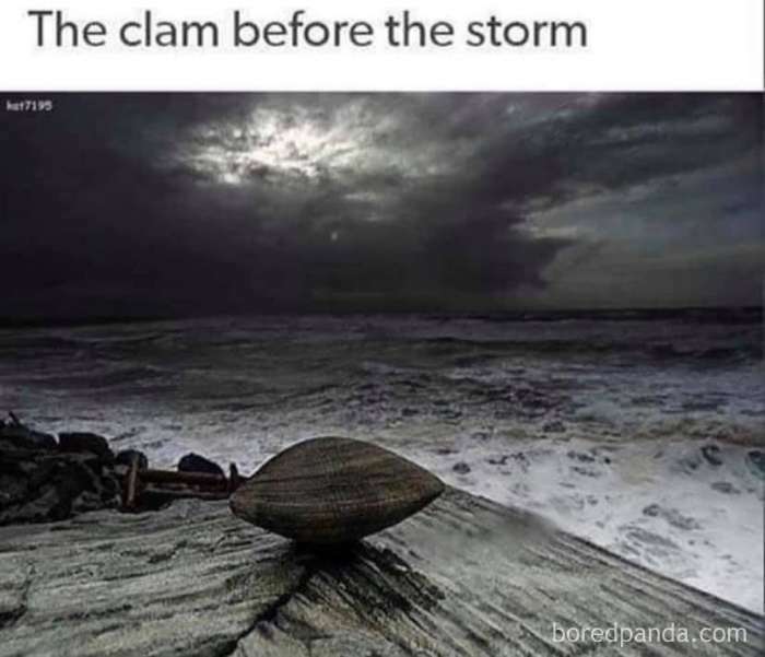 Clam on a rock under a stormy sky, illustrating a literal meme for SEO purposes.