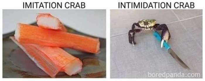 Literal memes comparing imitation crab sticks to a crab holding a knife, labeled "imitation crab" and "intimidation crab".