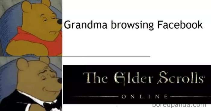Literal meme with two panels of Winnie the Pooh, comparing Grandma browsing Facebook to The Elder Scrolls Online.