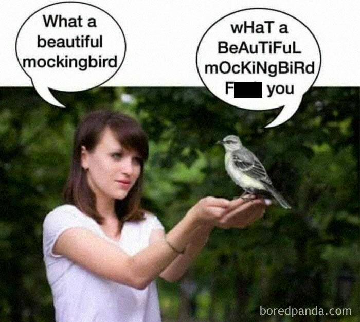A woman holding a mockingbird with speech bubbles showing a literal meme interaction.