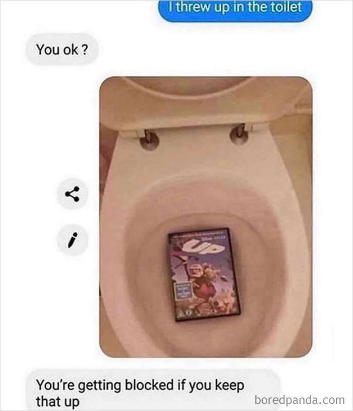Text meme with a DVD of "Up" in a toilet as a literal joke, part of hilarious literal memes collection.