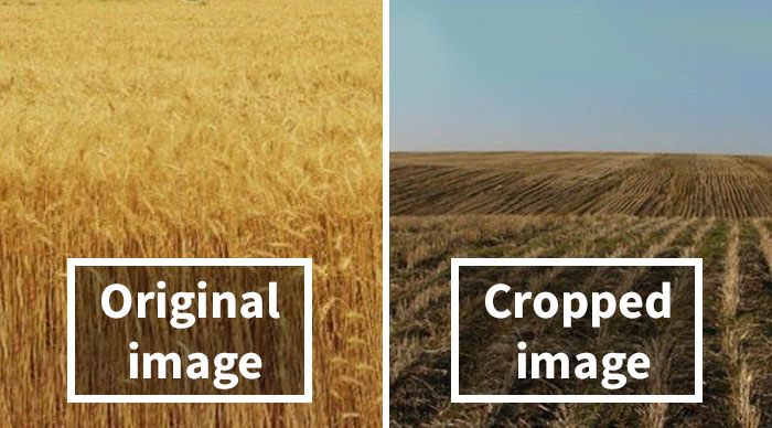 40 ‘Literal Memes’ That Are Straight To The Point But Still Hilarious