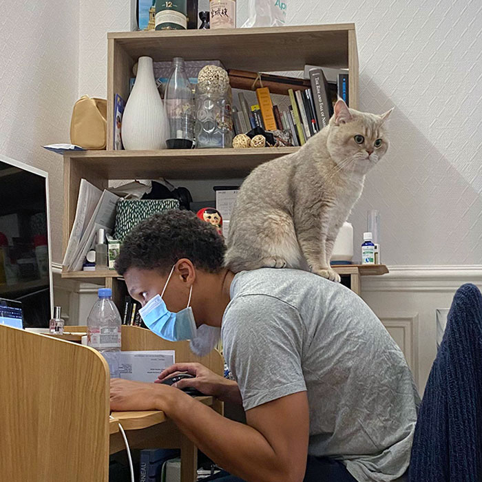 Where Should I Sits? I Think I’ll Sits Here