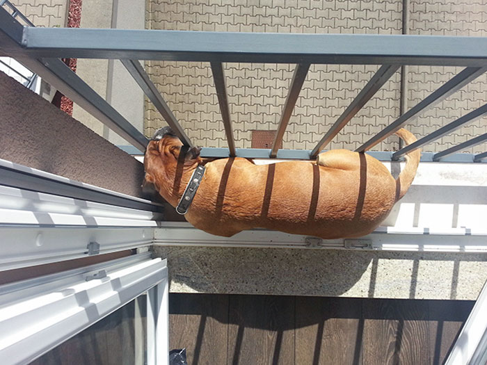 She's Used To Having A Balcony