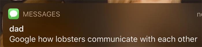 Funny-Unexpected-Texts