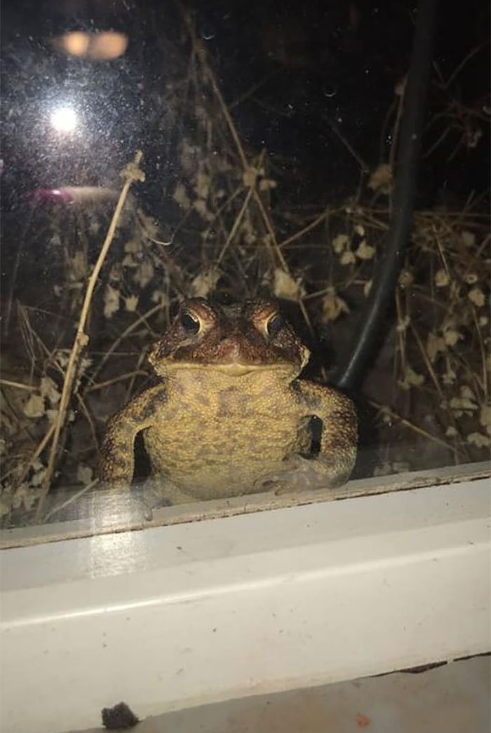 Throwback To When I Heard A Noise At My Window And It Was Him